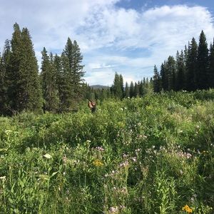 Meet your Posher, Sean